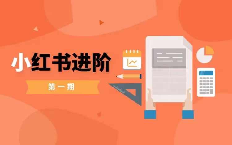 小红书进阶篇，零基础小白实战课，普通人变现的课程| 鹿鸣网创