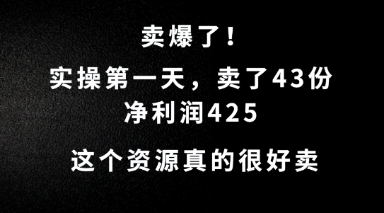 这个资源,需求很大,实操第一天卖了43份,净利润425【揭秘】| 鹿鸣网创