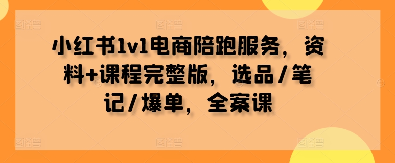 小红书1v1电商陪跑服务，资料+课程完整版，选品/笔记/爆单，全案课| 鹿鸣网创