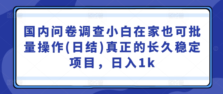 国内问卷调查小白在家也可批量操作(日结)真正的长久稳定项目，日入1k【揭秘】| 鹿鸣网创