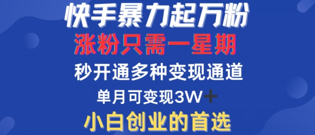 快手暴力起万粉,涨粉只需一星期,多种变现模式,直接秒开万合,单月变现过W【揭秘】| 鹿鸣网创