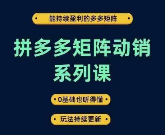 拼多多矩阵动销系列课，能持续盈利的多多矩阵，0基础也听得懂，玩法持续更新| 鹿鸣网创