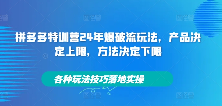 拼多多特训营24年爆破流玩法,产品决定上限,方法决定下限,各种玩法技巧落地实操| 鹿鸣网创