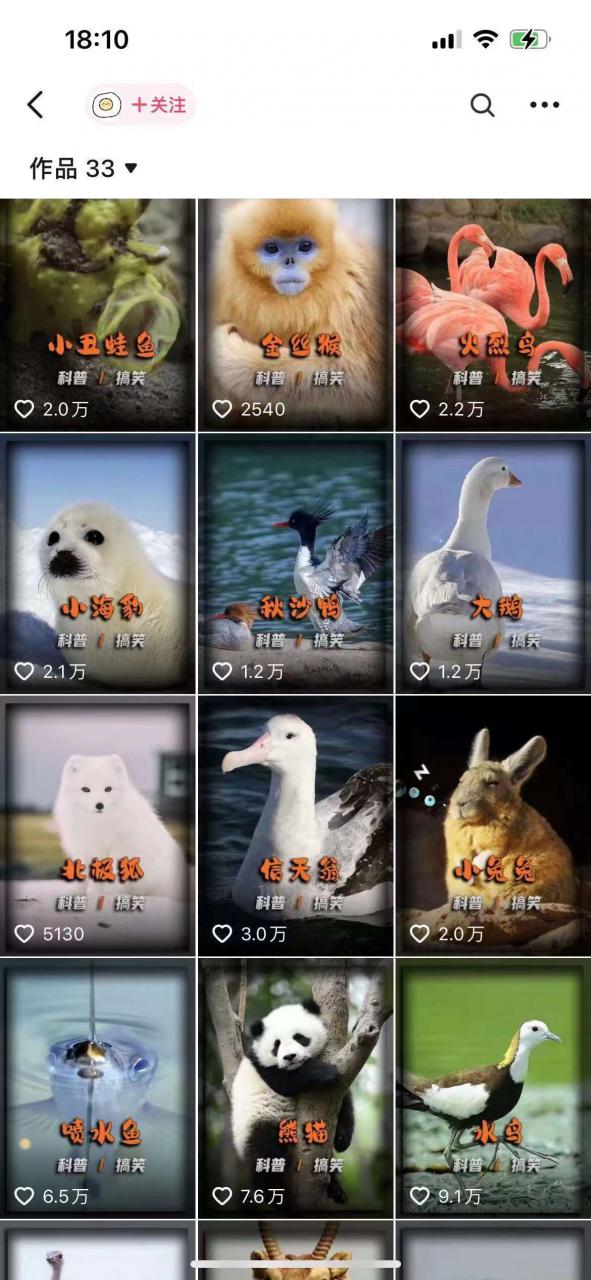 动物科普解说项目，撸创作者伙伴计划收益，保姆级实战教程| 鹿鸣网创