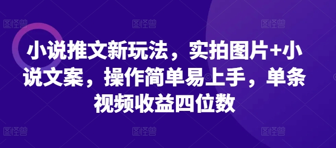 小说推文新玩法,实拍图片+小说文案,操作简单易上手,单条视频收益四位数| 鹿鸣网创