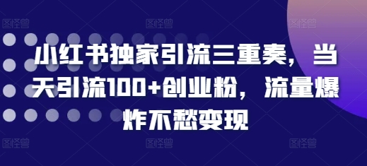 小红书独家引流三重奏，当天引流100+创业粉，流量爆炸不愁变现【揭秘】| 鹿鸣网创