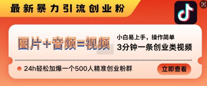 抖音最新暴力引流创业粉，3分钟一条创业类视频，24h轻松加爆一个500人精准创业粉群【揭秘】| 鹿鸣网创