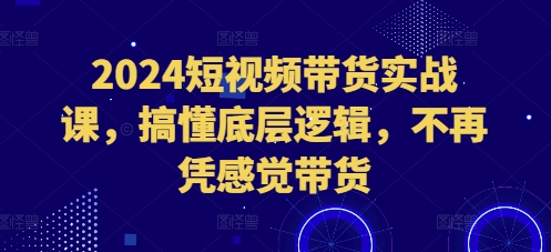 2024短视频带货实战课,搞懂底层逻辑,不再凭感觉带货| 鹿鸣网创