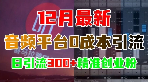 12月最新：音频平台0成本引流，日引流300+精准创业粉| 鹿鸣网创