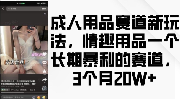 成人用品赛道新玩法,情趣用品一个长期暴利的赛道,3个月收益20个【揭秘】| 鹿鸣网创