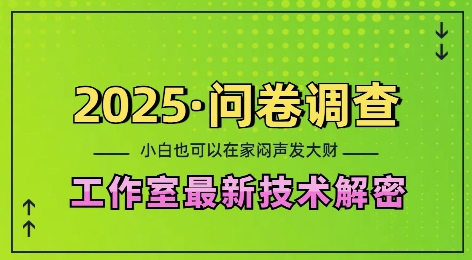 2025问卷调查最新工作室技术解密:一个人在家也可以闷声发大财,小白一天2张,可矩阵放大【揭秘】| 鹿鸣网创