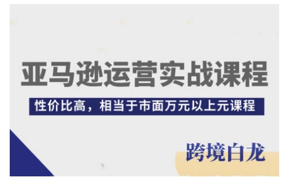 亚马逊运营实战课程，亚马逊从入门到精通，性价比高，相当于市面万元以上元课程| 鹿鸣网创