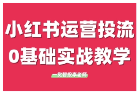 小红书运营投流,小红书广告投放从0到1的实战课,学完即可开始投放| 鹿鸣网创