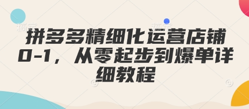 拼多多精细化运营店铺0-1，从零起步到爆单详细教程| 鹿鸣网创