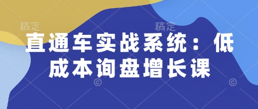 直通车实战系统:低成本询盘增长课,让个人通过技能实现升职加薪,让企业低成本获客,订单源源不断| 鹿鸣网创