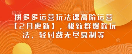 拼多多运营玩法课高阶运营【2月更新】,极致群爆款玩法,轻付费无尽复制等| 鹿鸣网创
