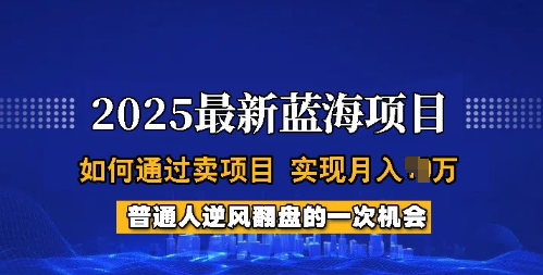 2025蓝海项目，普通人如何通过卖项目，实现月入过W，全过程【揭秘】| 鹿鸣网创