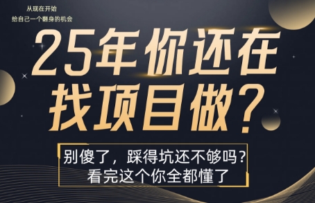 25年，你还在疯狂的找项目吗？别傻了，看完这个你都懂了【揭秘】| 鹿鸣网创