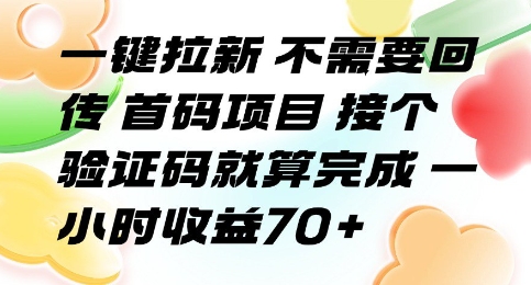 一键拉新 不需要回传 首码项目 接个验证码就算完成 一小时收益70+【揭秘】| 鹿鸣网创