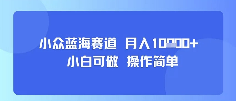 小众蓝海赛道，小白可做，操作简单，每天30分钟，月入1W+| 鹿鸣网创