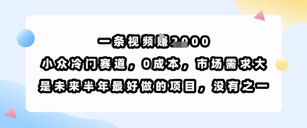 一条视频挣1k，小众冷门赛道，0成本，市场需求大，是未来半年最好做的项目，没有之一| 鹿鸣网创