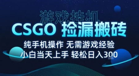 8月最新游戏搬砖，CSGO纯挂G，不需要玩游戏，实现真挂G，月入1W+【揭秘】| 鹿鸣网创