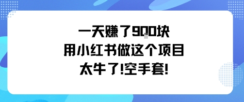 一天挣了9张用小红书做这个项目太牛了，空手套| 鹿鸣网创