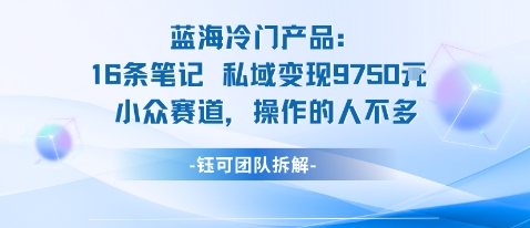 蓝海项目：16条笔记私域变现9750米小众赛道操作的人不多| 鹿鸣网创