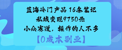 蓝海冷门产品：16条笔记私域变现9750米小众赛道，操作的人不多| 鹿鸣网创