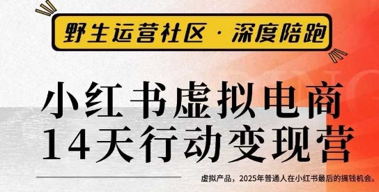 小红书虚拟电商14天变现训练营3.0，​虚拟产品，2025年普通人在小红书最后的搞钱机会| 鹿鸣网创