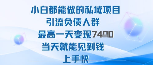 2025年小白都能做的私域项目引流负债人群最高一天变现1k+高变现难度低当天就能见到钱上手快| 鹿鸣网创