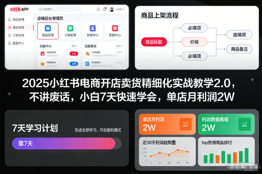 2025小红书电商开店卖货精细化实战教学2.0，不讲废话，小白7天快速学会，单店月利润2W| 鹿鸣网创