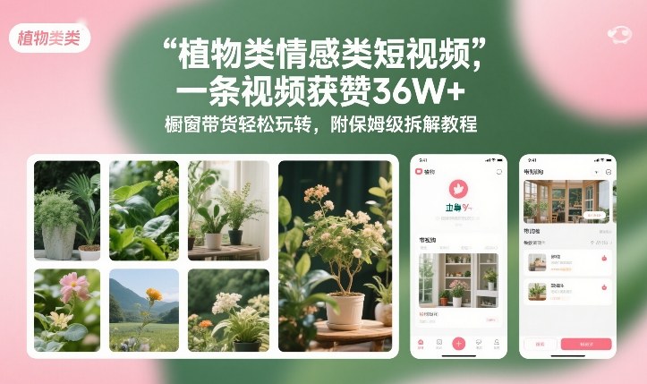 植物类情感类短视频，一条视频获赞36W+，橱窗带货轻松玩转，附保姆级拆解教程| 鹿鸣网创