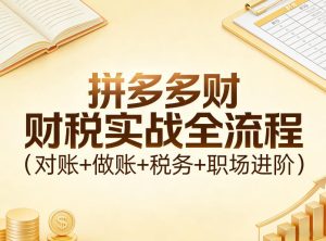 拼多多财税实战全流程（对账+做账+税务+职场进阶）| 鹿鸣网创