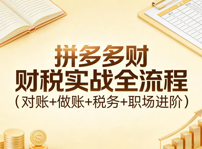 拼多多财税实战全流程（对账+做账+税务+职场进阶）| 鹿鸣网创