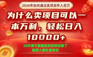一单净利润1K+，26年想年入100个W，死磕卖项目就够了【揭秘】| 鹿鸣网创