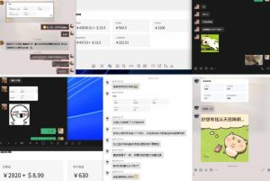 雷神加速器项目模拟器_无脑1分钟1条视频矩阵_疯狂报单打法【焚诀】| 鹿鸣网创