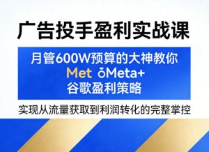 广告投手盈利实战课，月管600W预算的大神教你Meta+谷歌盈利策略，实现从流量获取到利润转化的完整掌控| 鹿鸣网创