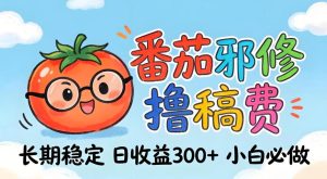 番茄撸金术:日入300+稳如泰山!独家玩法曝光,操作门槛极低,无需经验,小白闭眼上车【揭秘】| 鹿鸣网创