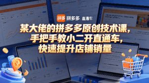 某大佬的拼多多原创技术课，手把手教小二开直通车，快速提升店铺销量| 鹿鸣网创