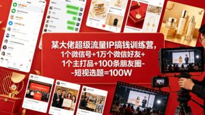 某大佬超级流量IP搞钱训练营，1个微信号+1万个微信好友+1个主打品+100条朋友圈-短视选题=100W| 鹿鸣网创