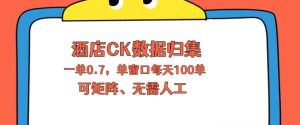 上班也能玩的酒店CK数据归集，一单0.7单窗口每天可做100单，一个人就能矩阵操作【揭秘】| 鹿鸣网创