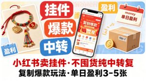 小红书卖挂件，不囤货纯中转复制爆款玩法，单日盈利3-5张| 鹿鸣网创
