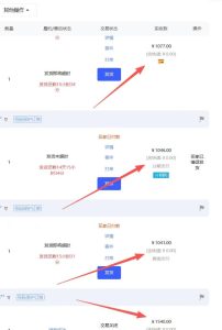 【超强副业】淘宝超高价女装项目：1单賺1k+，可工作室放大（共52节）| 鹿鸣网创