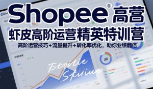 Shopee虾皮高阶运营精英特训营，高阶运营技巧+流量提升+转化率优化，助你业绩翻倍（更新26年5月）| 鹿鸣网创