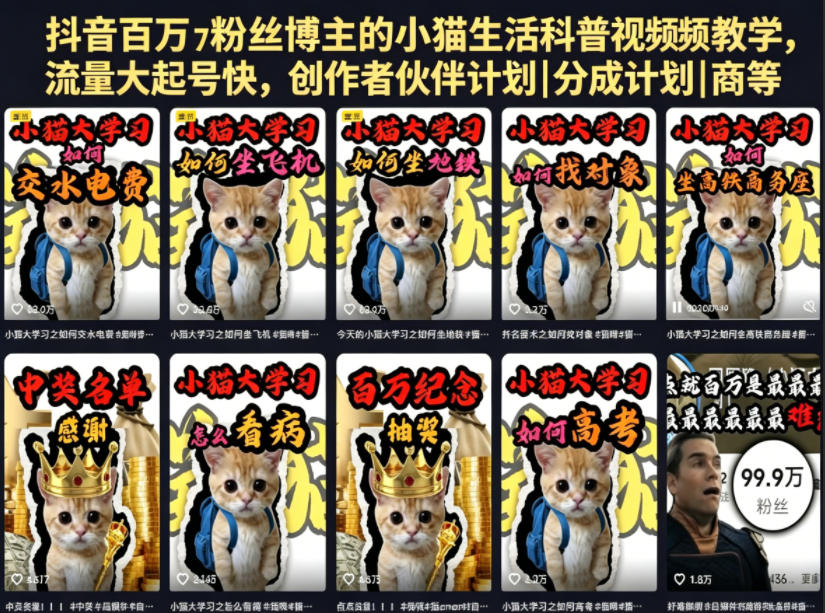 抖音百万粉丝博主的小猫生活科普视频教学，流量大起号快，创作者伙伴计划|分成计划|商单|收徒等| 鹿鸣网创