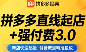 拼多多直线起店+强付费3.0，教你稳定起店、高效控投产、破解流量瓶颈（更新4月）| 鹿鸣网创