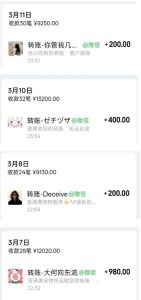 宠物托运阳光赛道賺钱教学,小众高刚需冷门项目,日均10单稳定盈利,单均利润200+| 鹿鸣网创