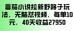番茄小说拉新野路子玩法,无脑怼视频,玩法简单、见效快,每单10米,40天收益27950| 鹿鸣网创