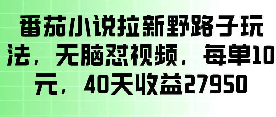 番茄小说拉新野路子玩法，无脑怼视频，玩法简单、见效快，每单10米，40天收益27950| 鹿鸣网创